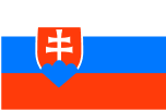 Slovensky¨/ Slovak language